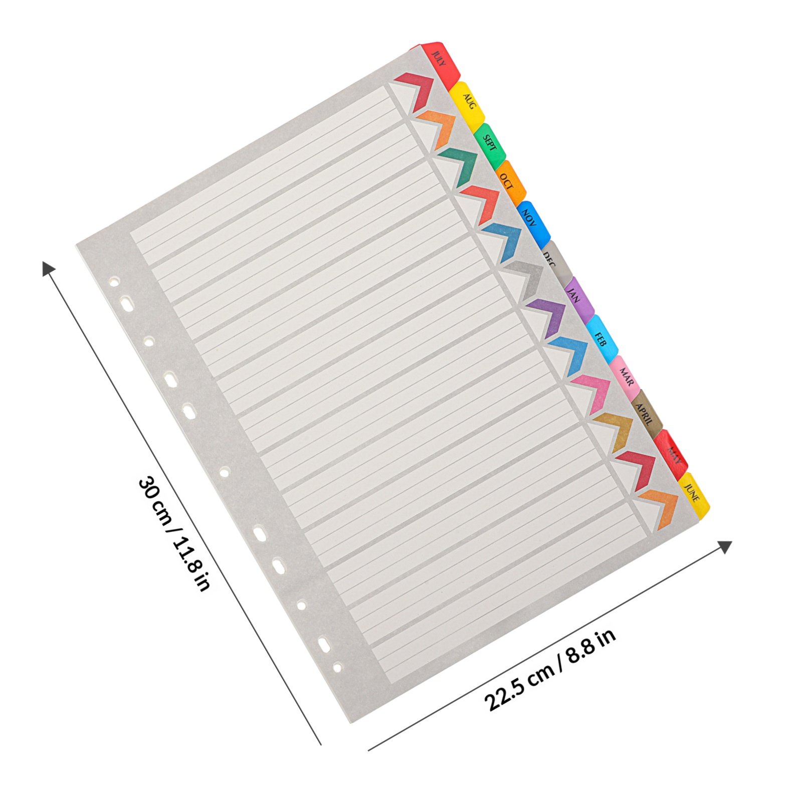 12 Blatt Trennblätter mit Regi – Tab Divider A4 Bewertung und Preis