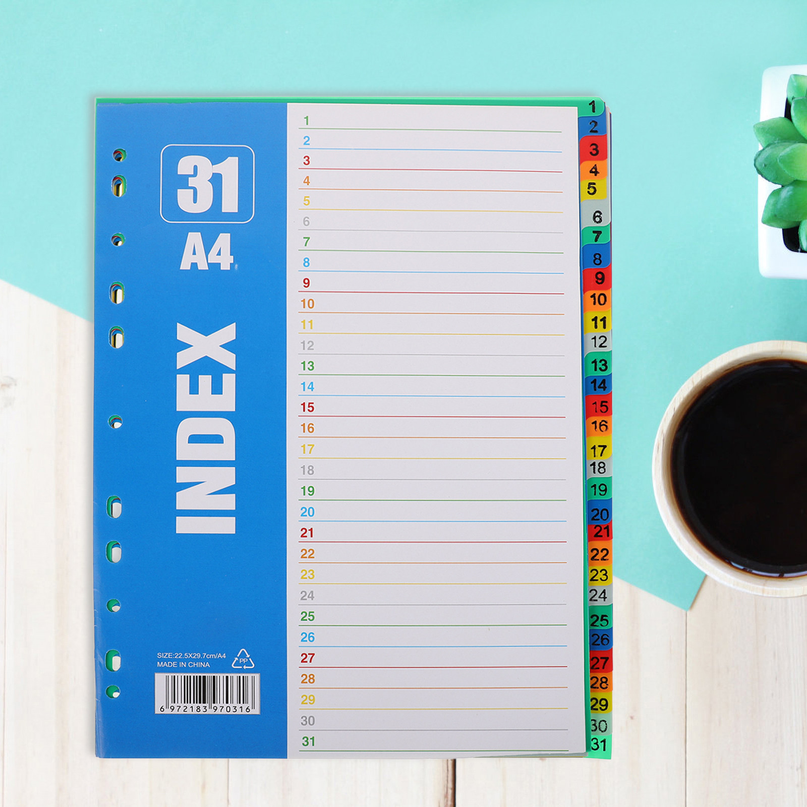 1 Set A4 11-Loch Kunststoff-In – Tab Divider A4 Bewertung und Preis