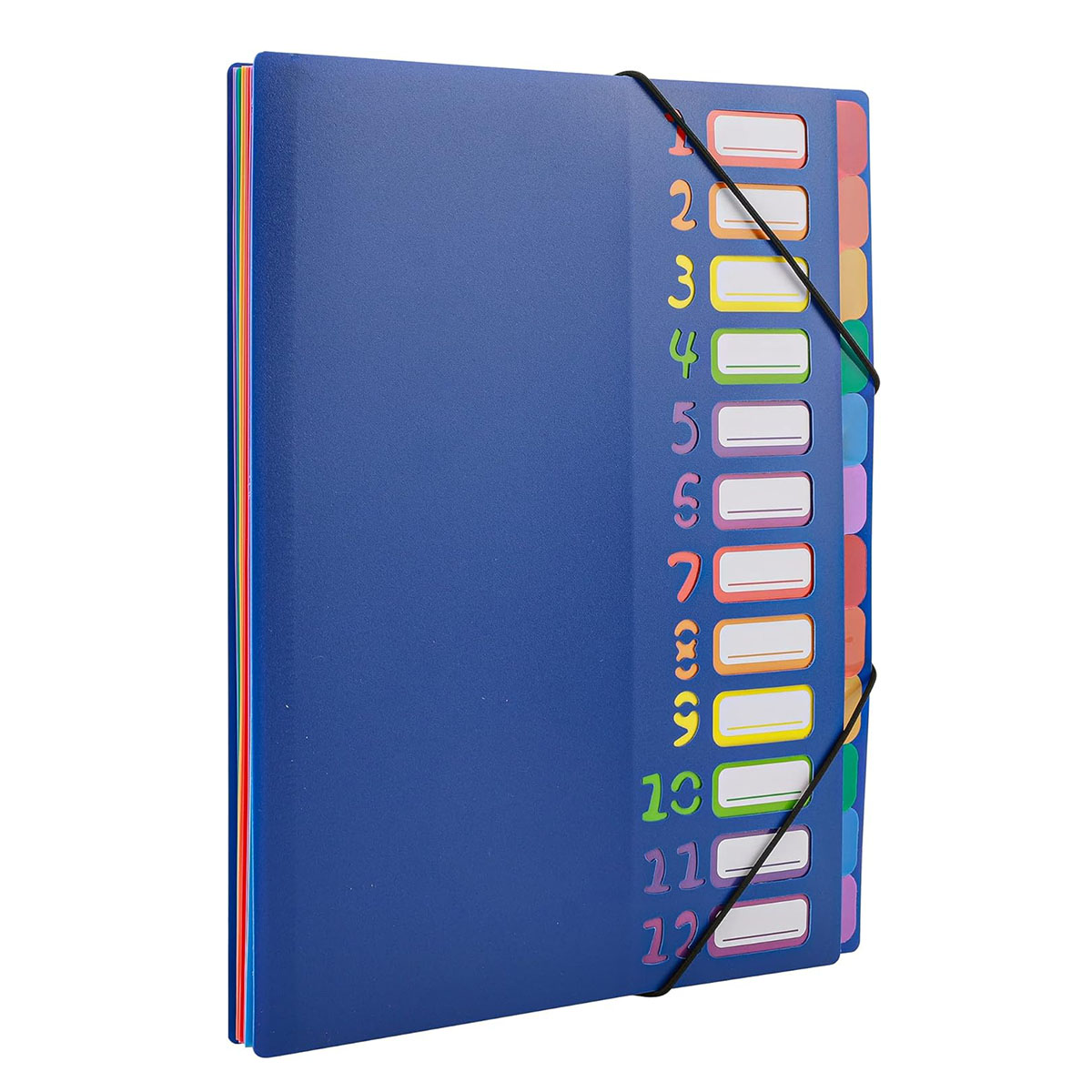 Erweiterbarer Aktenordner mit  – Tab Divider A4 Bewertung und Preis